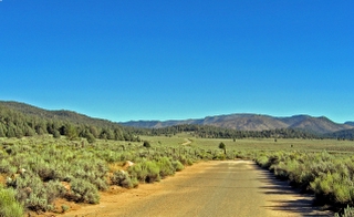 Road through sagebrush in Kennedy Meadows, California