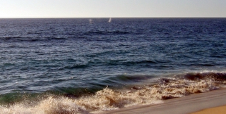 whales The Beach at Las Tunas Todos Santos, Baja California Sur 